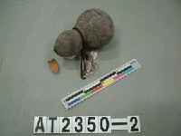 藏品(匏器)的圖片